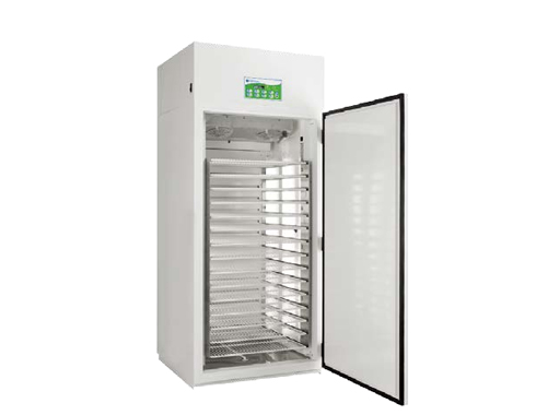 ���ӷ�ѿ��