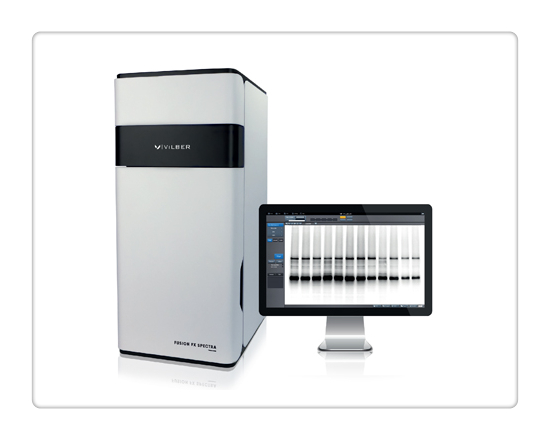 ��ѧ����leaflet fusion fx & solo s