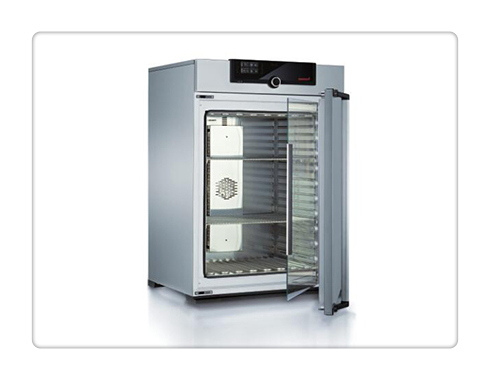 IN��IF ������