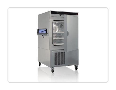 ���������� CTC