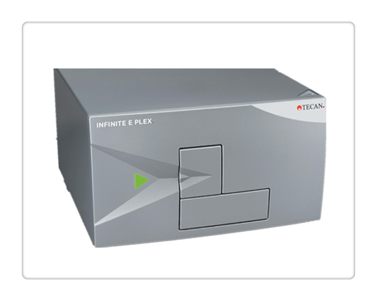 �๦��ø����Infinite E Plex