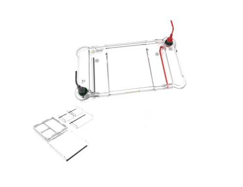 SINSAGE-EPˮƽ��Ӿ��