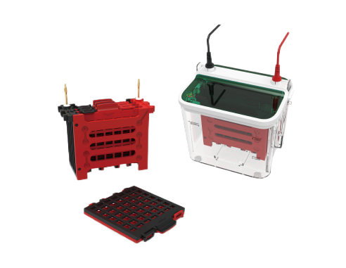 SINSAGE-BLOT4/BLOT2��ͨ��/��ֱתӡ��